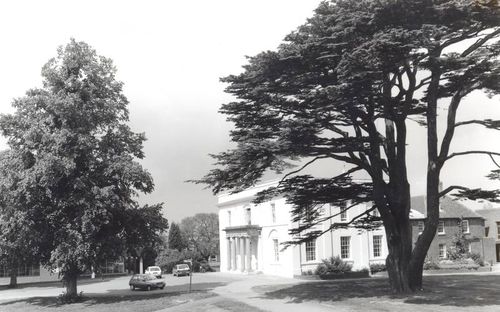 Walton Hall and cedar tree