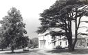 view image of Walton Hall and cedar tree