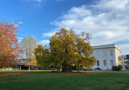 Mulberry Tree and Walton Hall