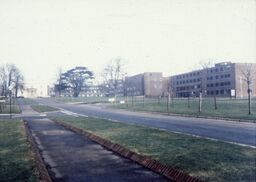 view image of Walton Drive 