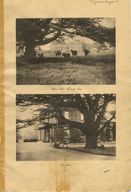 view image of Walton Hall sale document - photos