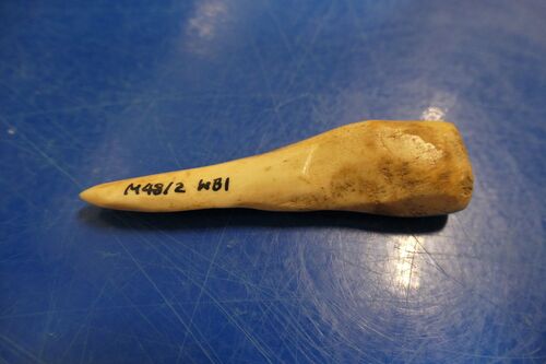 Bone Thread Picker found in St Michael's Church