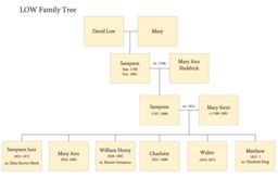 video preview image for Low family tree 