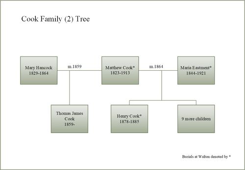 Cook Family (2) Tree