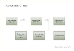 video preview image for Cook Family (2) Tree