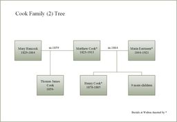 view image of Cook Family (2) Tree
