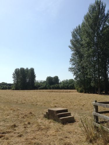 Fields and mounting block near Walton Hall campus