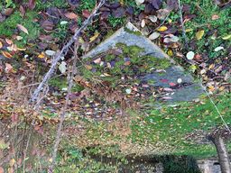 view image of Graves of John, William and Elizabeth Sipthorp