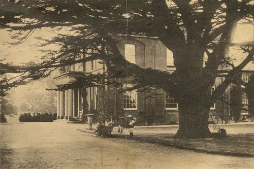 This image shows Mary Harley with her daughters Diana (holding a doll) and Primrose beneath the cedar tree beside Walton Hall. The tree is now a sculpture. The photograph was taken in 1911 and included in a sale document for the estate.