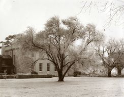 view image of Walton Hall from the Mulberry Lawn