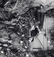 view image of Primrose Roper 
