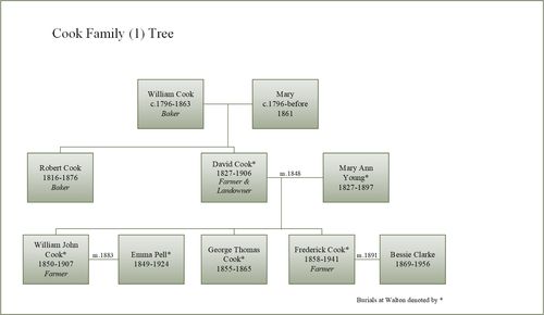 Cook Family (1) Tree