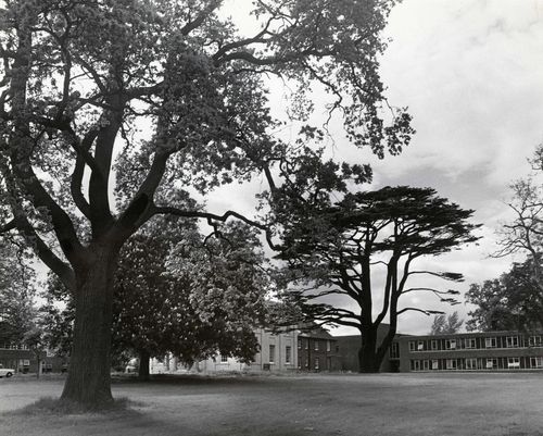 Walton Hall and the Cedar Lawn 