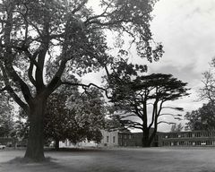 view image of Walton Hall and the Cedar Lawn 